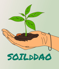 Soild DAO